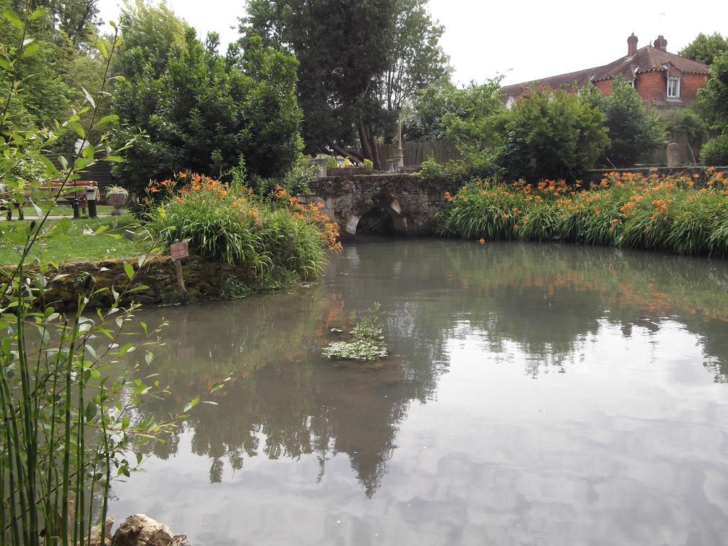 Bed and Breakfast Le Moulin Du Modon Proche Du Zooparc De Beauval Couffy Exteriér fotografie